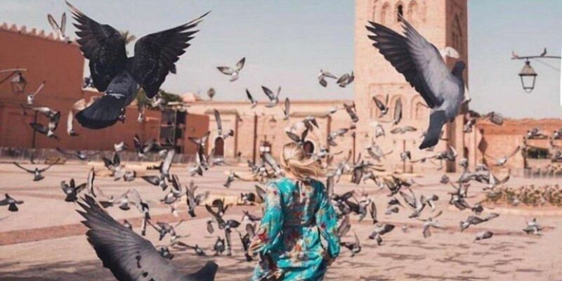 Vibrant Voyages: Explore the Colorful Souks of Casablanca! - Who Will Love This Tour?