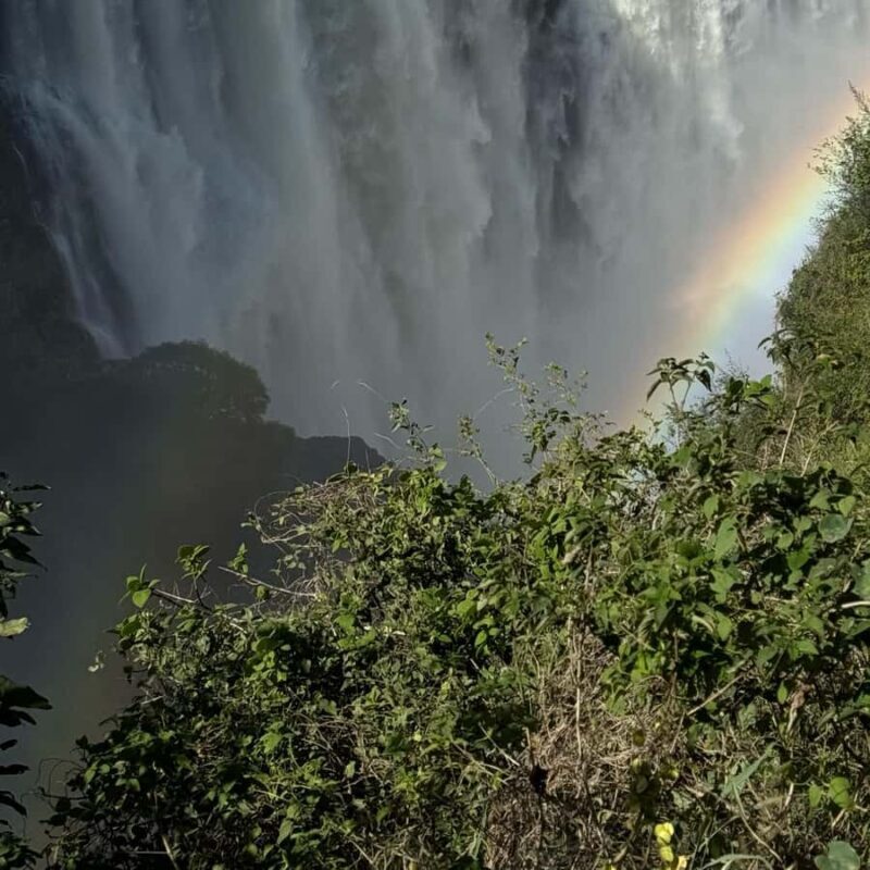 Vic Falls Day Trip - From Kasane - A Closer Look at the Victoria Falls Day Trip
