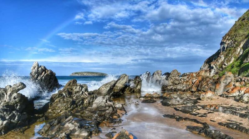 Victor Harbor and Fleurieu Peninsula Tour - A Comprehensive Look at the Victor Harbor and Fleurieu Peninsula Tour