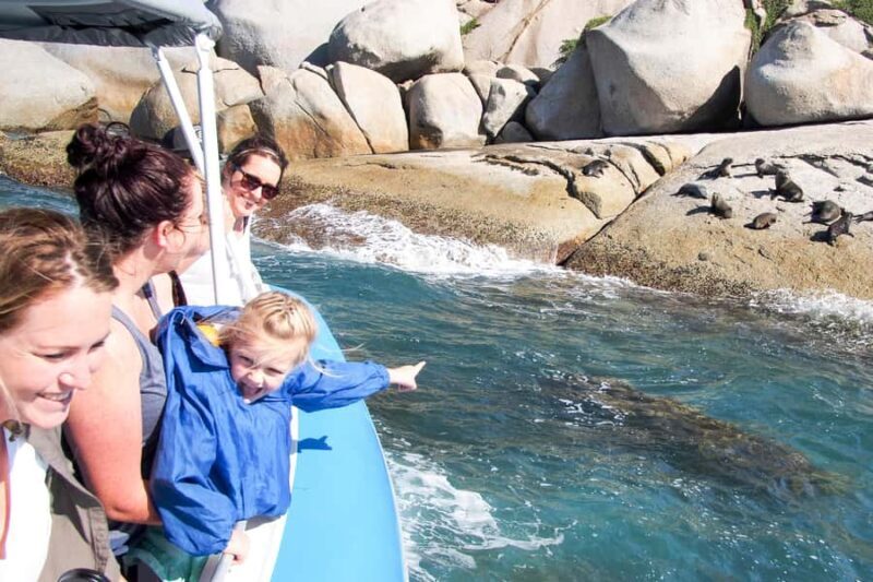 Victor Harbor: Seal Island Cruise - An Authentic Coastal Adventure