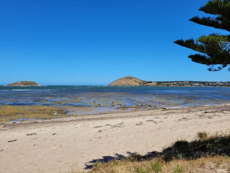 Victor Harbor: Shipwrecks & Settlers Walking Tour - Key Points
