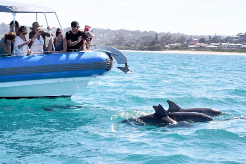Victor Harbor: Southern Ocean Adventure Cruise with Guide - FAQs