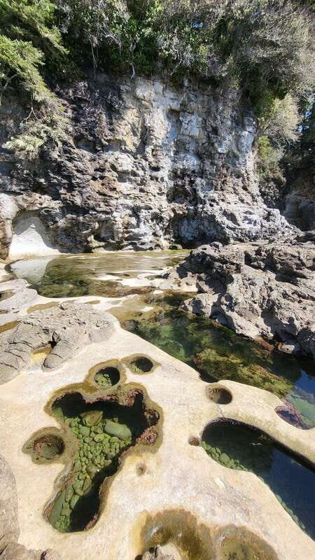 Victoria: 4-Day Tofino and Port Renfrew Tour with Flights - Scenic Flight to Vancouver