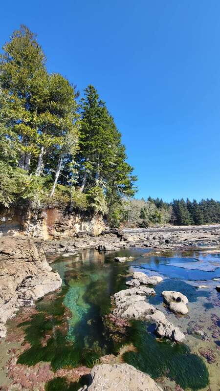 Victoria: 4-Day Tofino and Port Renfrew Tour with Flights - Practical Tips for Travelers