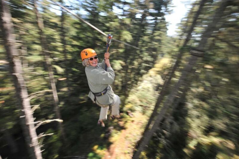 Victoria: 8 Zipline Guided Tour + Suspension Bridge - Key Points