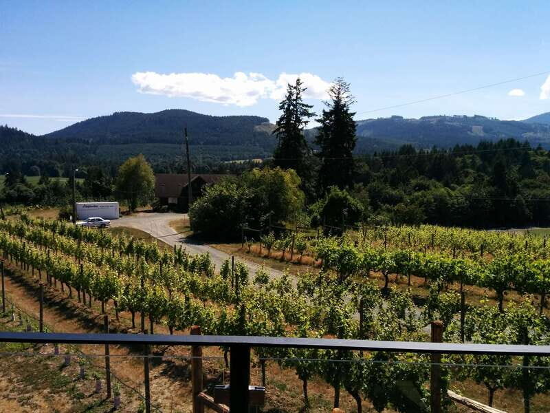 Victoria, BC: Food & Wine Tour to the Cowichan Valley - Analyzing the Value