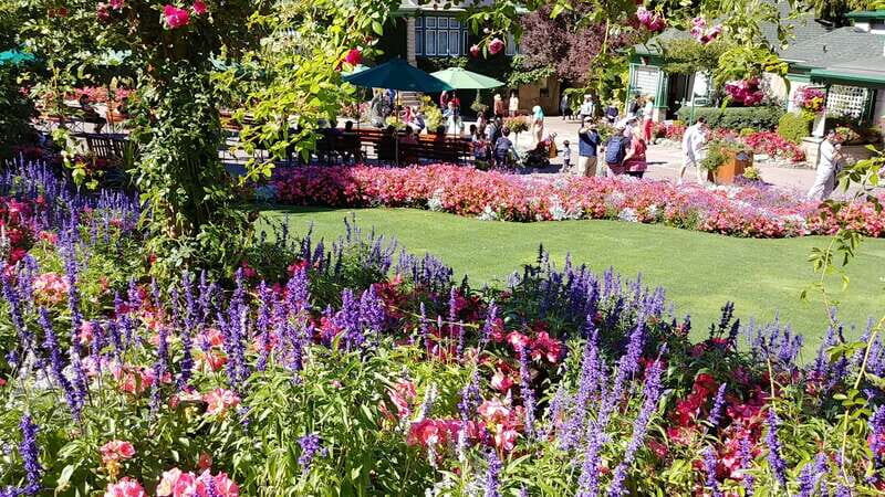 Victoria & Butchard Gardens Private Tour from Vancouver - What Reviewers Say