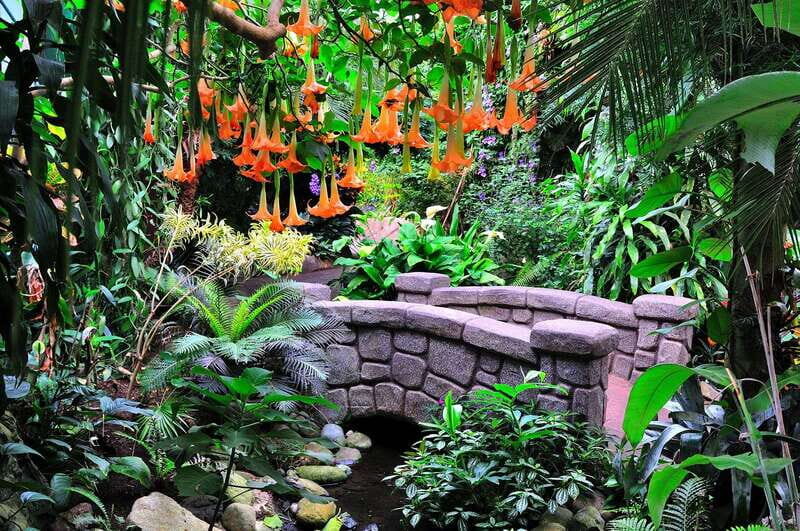 Victoria: Butterfly Gardens Admission Ticket - The Sum Up