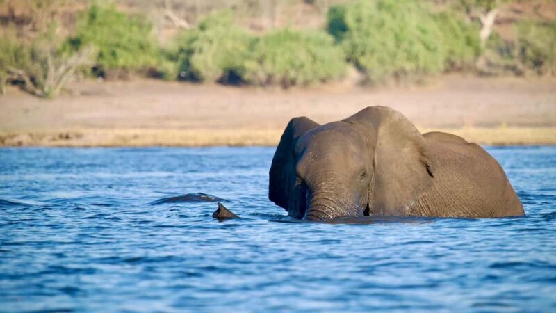 Victoria Falls: 4-Day Tour with Chobe - Final Thoughts