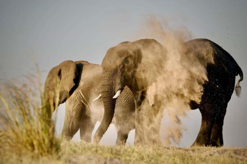 Victoria Falls: 4-Day Tour with Chobe - FAQ