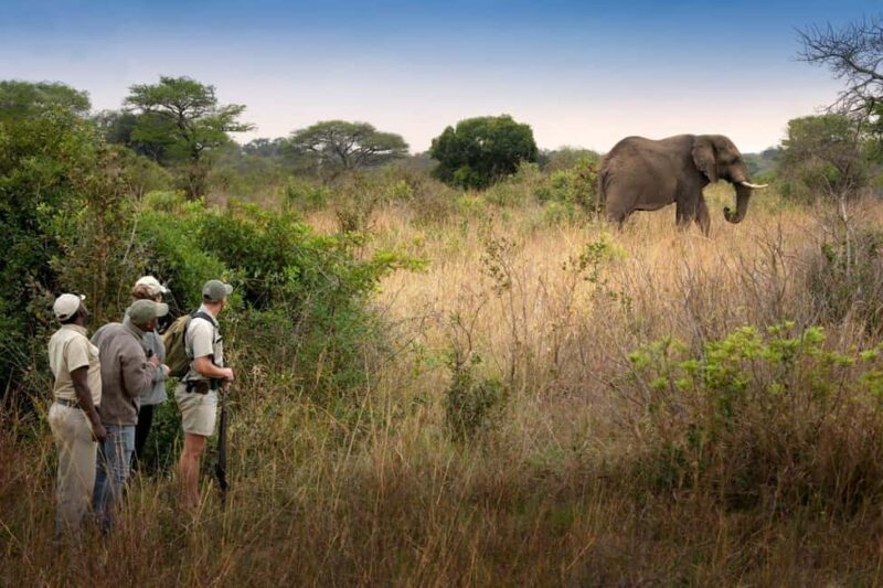 Victoria Falls and Hwange National Park 4-Day Safari Tour - The Practicalities and Value