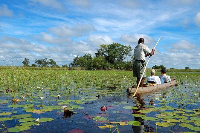 Victoria Falls, Chobe and Okavango Delta 7 nights trip - Who Should Consider This Tour?