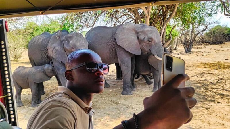 Victoria Falls: Chobe and Quadripoint Day Trip with Lunch - Summary of the Experience’s Value