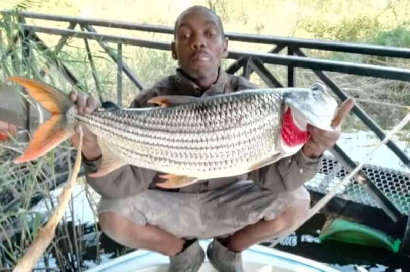 Victoria Falls: Chobe River Tiger Fishing Safari with Lunch - Key Points