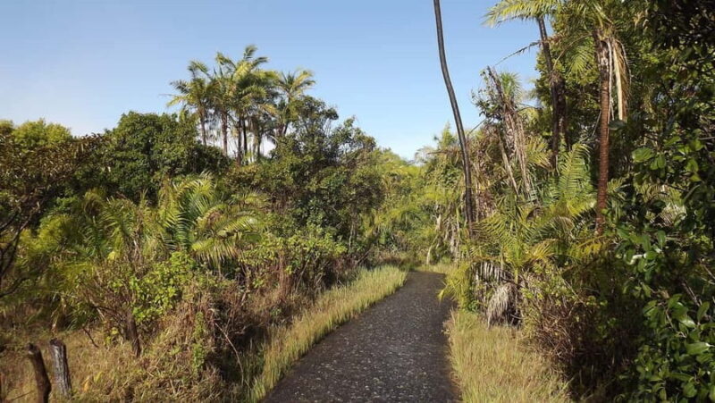 Victoria Falls Cross Border Guided Tour - Final Thoughts