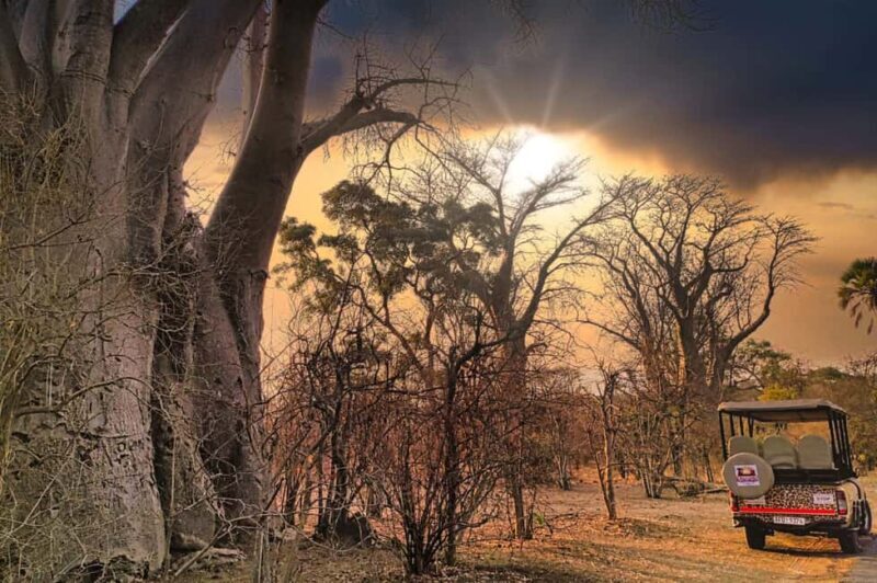 Victoria Falls: Dry Safari Game drive in National Park - The Wildlife and Environment