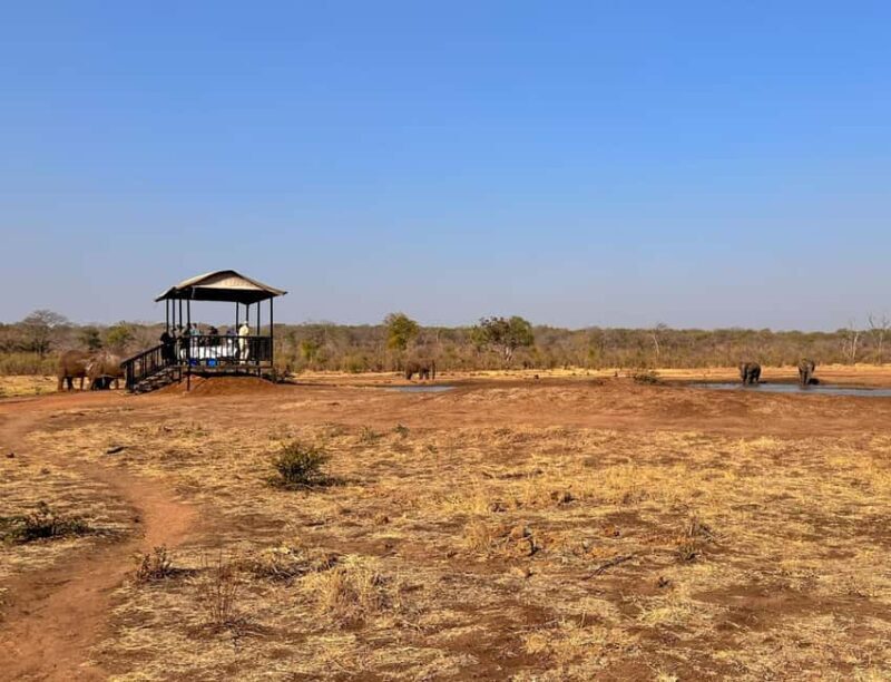 Victoria Falls: Elecrew Through The Eyes Of An Elephant - Key Points