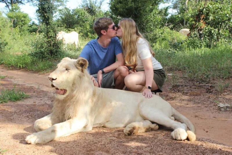 Victoria Falls: Elephant, Lion, and Cheetah Encounter - Key Points