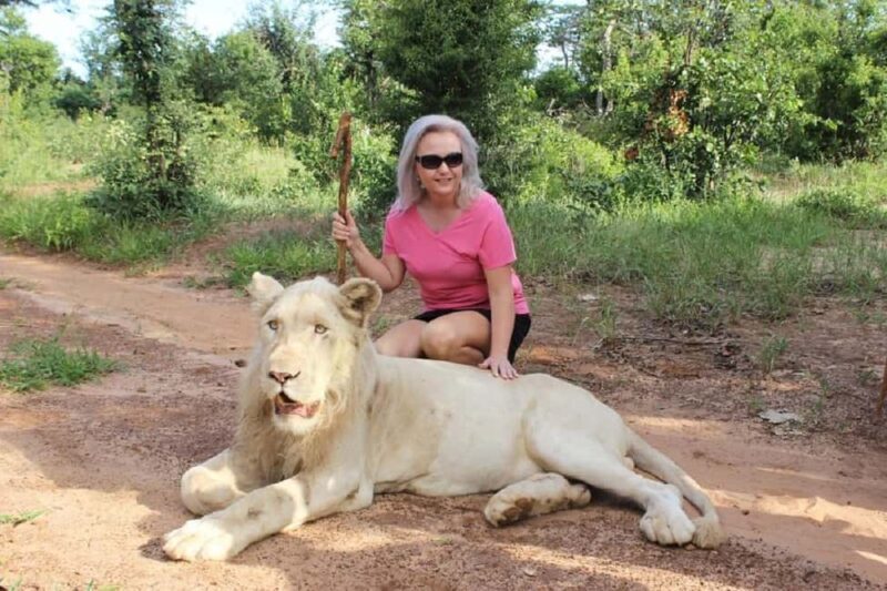 Victoria Falls: Elephant, Lion, and Cheetah Encounter - Final Thoughts: Who Should Consider This Tour?
