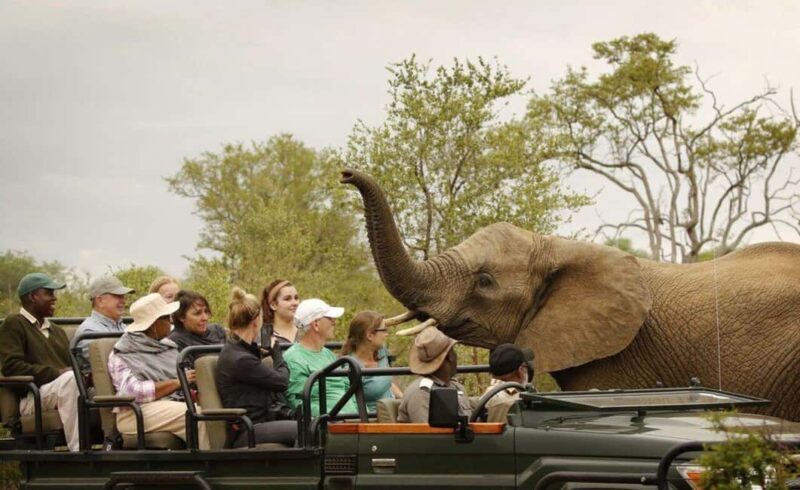 Victoria Falls Full Day Game Drive - Final Thoughts