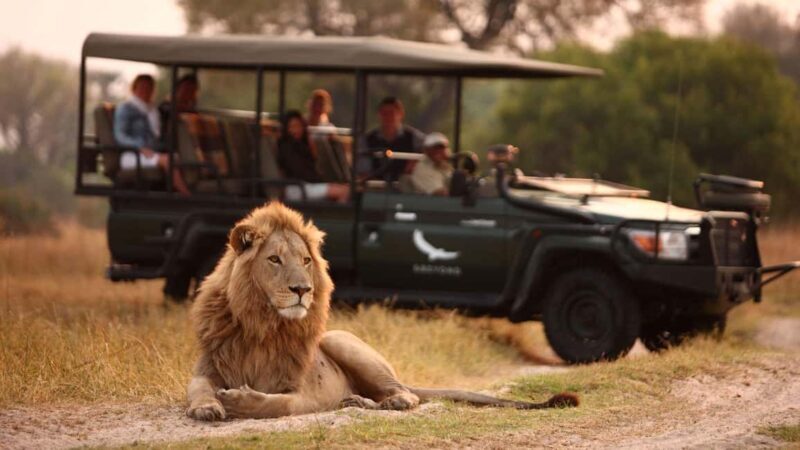 Victoria Falls: Game Drive - An Honest Look at the Victoria Falls Game Drive