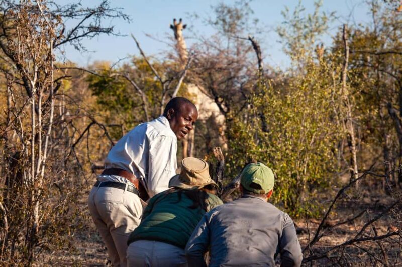 Victoria Falls: Game Walk in the Zambezi National Park - Practical Tips for Visitors