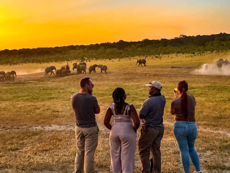 Victoria Falls: Game Walk in the Zambezi National Park - FAQ