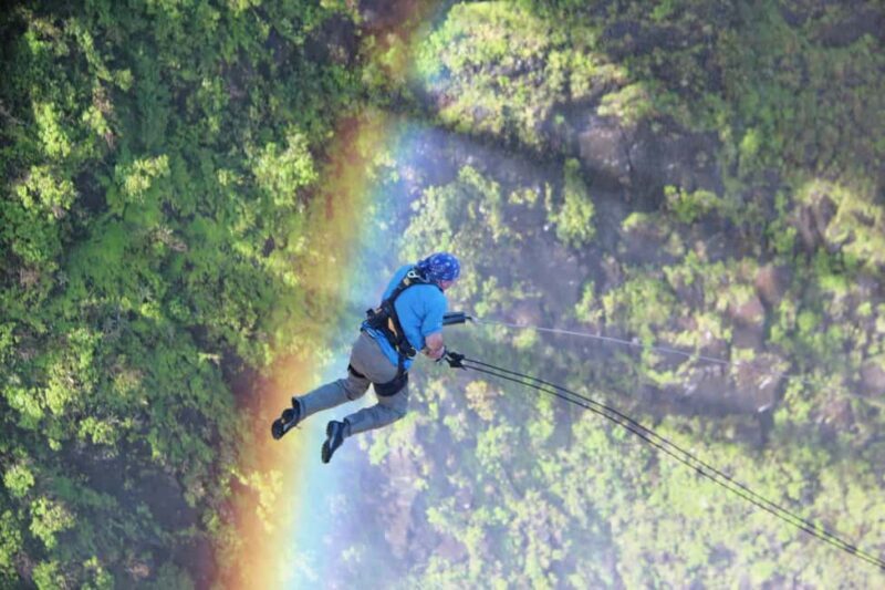 Victoria Falls: Gorge Swing Experience - What Is the Victoria Falls Gorge Swing?
