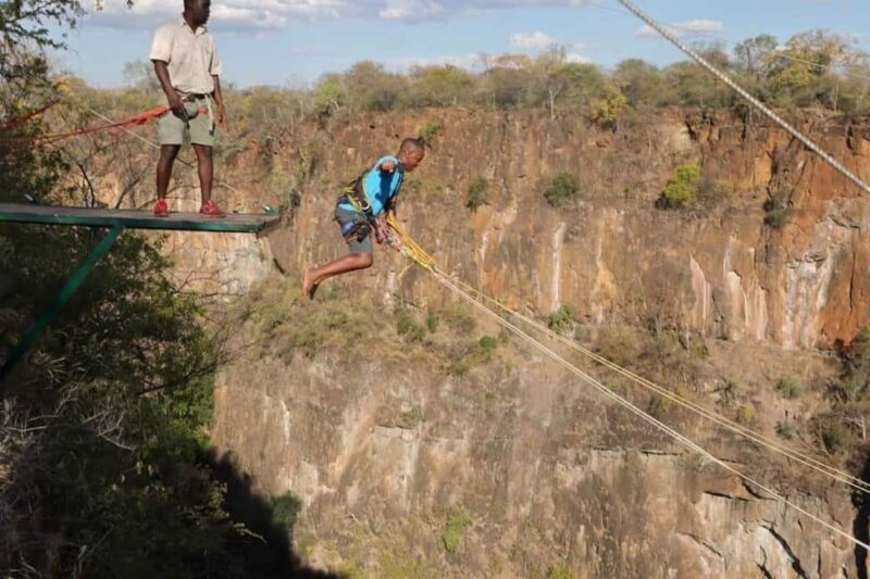 Victoria Falls: Gorge Swing Experience with Transfers - What is the Gorge Swing Experience?