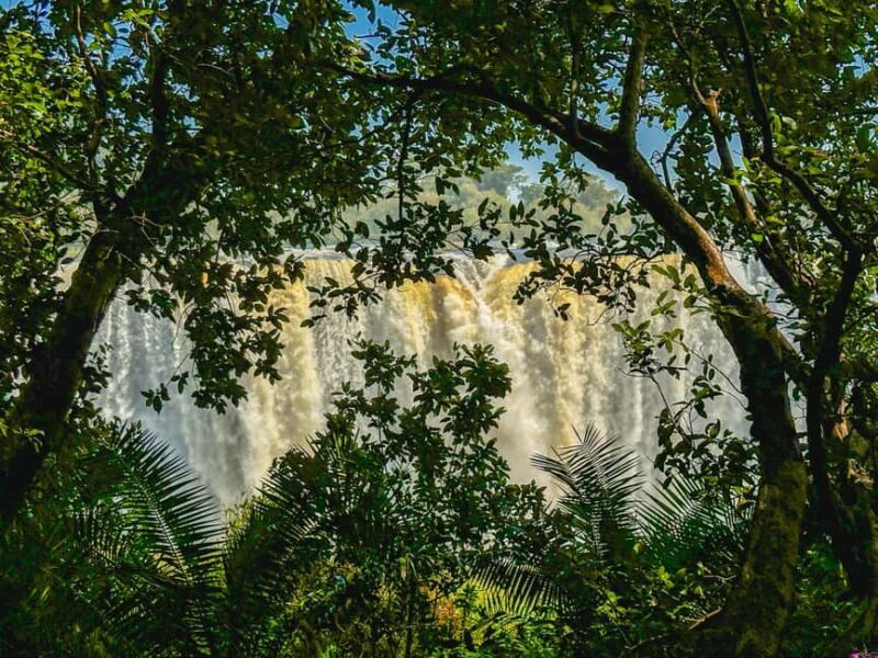Victoria Falls: Guided Tour of the Victoria Falls - Who Should Consider This Tour?