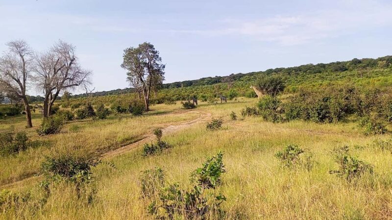 Victoria Falls: Guided Tours and Transfers - A Practical Overview of the Tour