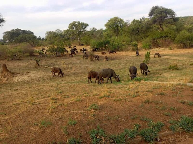 Victoria Falls: Guided Tours and Transfers - FAQ