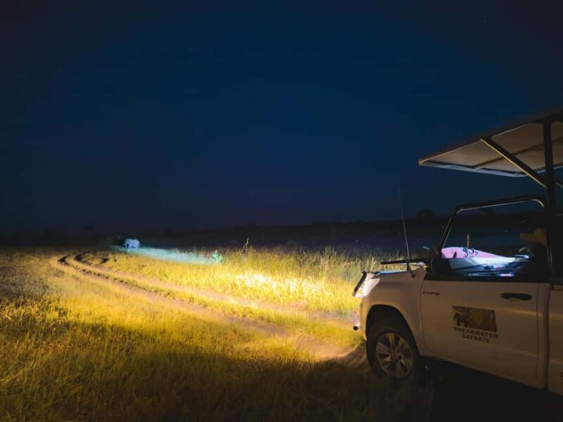 Victoria Falls: Night Game Drive Zambezi National Park - What to Expect: A Deep Dive into the Night Safari Experience