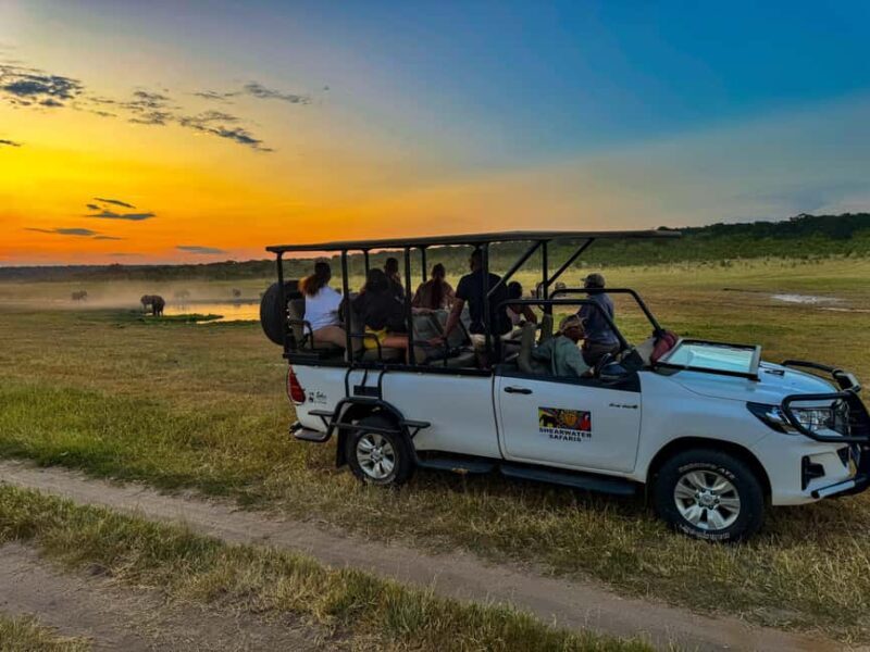 Victoria Falls: Night Game Drive Zambezi National Park - Who Will Love This Tour?