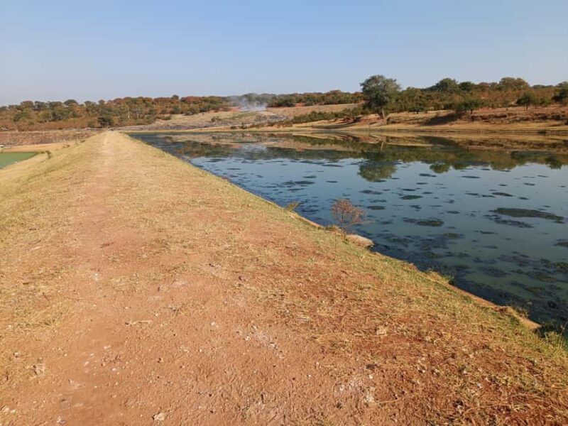 Victoria Falls: Private Birdwatching Safari near the town - Introduction: An Easy, Authentic Birding Experience