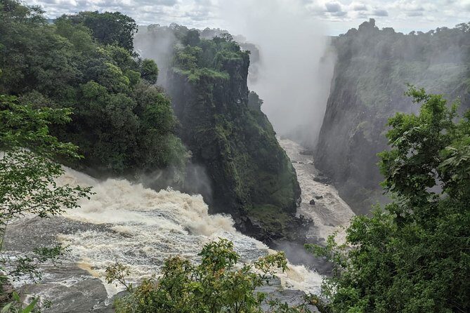 Victoria Falls: Private Guided Tour of the Falls - The Experience and What Travelers Say
