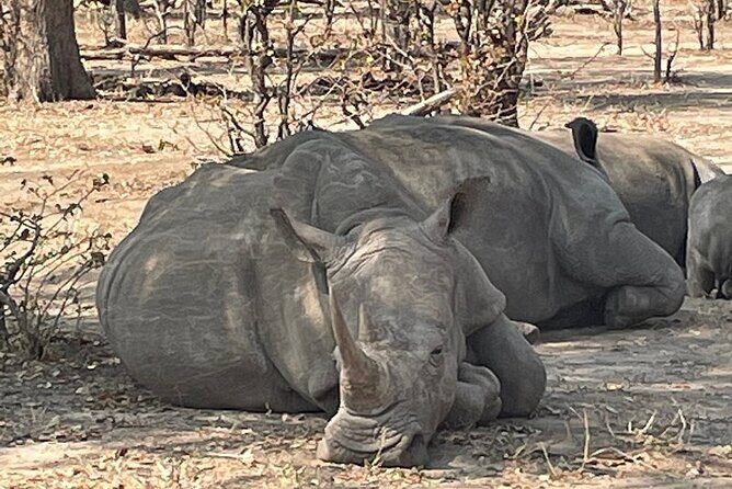 Victoria Falls & Safari Adventure: Both Sides Tour + Rhino Walk - An In-Depth Look at the Victoria Falls & Safari Adventure