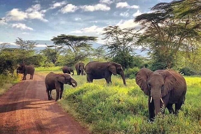 Victoria Falls & Safari Adventure: Both Sides Tour + Rhino Walk - Who This Tour Is Best For