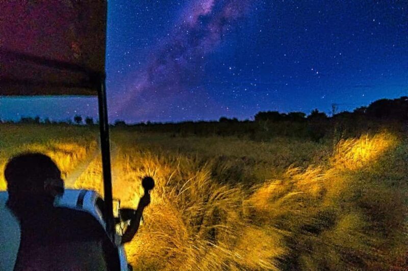 Victoria Falls: Stargazing Safari in the Bush with 4x4 - An In-Depth Look at the Victoria Falls Stargazing Safari