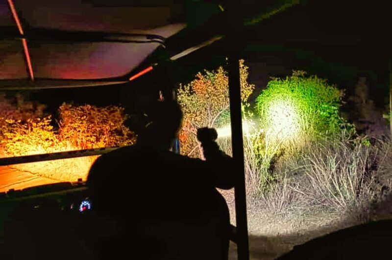 Victoria Falls: Stargazing Safari - Who Will Love This Tour?