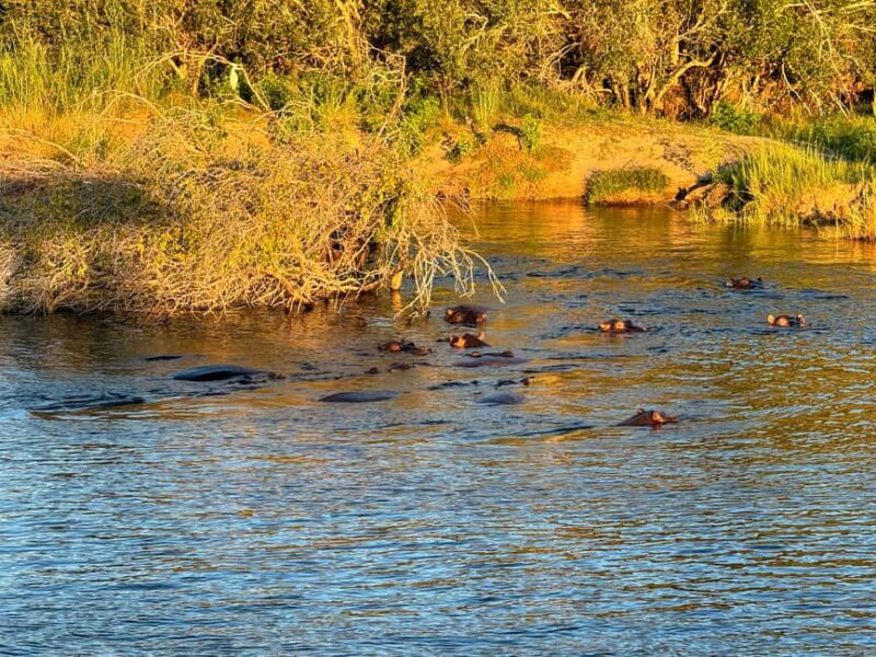 Victoria Falls: Sunset Cruise with 2 Shearwater Activities - The Experience in Detail