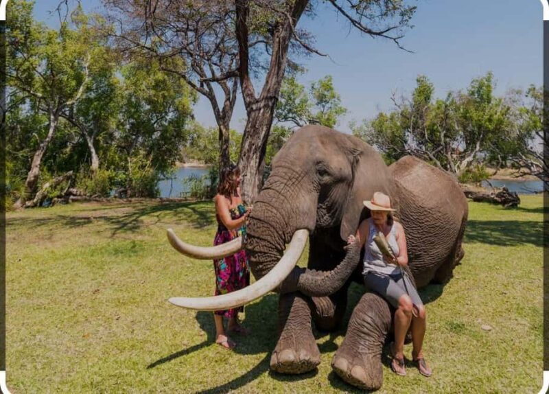 Victoria Falls: Through the eye of an elephant - Key Points