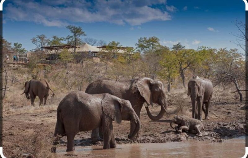 Victoria Falls: Through the eye of an elephant - An Honest Look at the Experience
