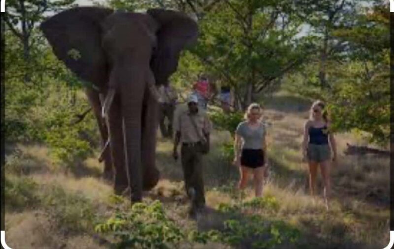 Victoria Falls: Through the eye of an elephant - Final Thoughts