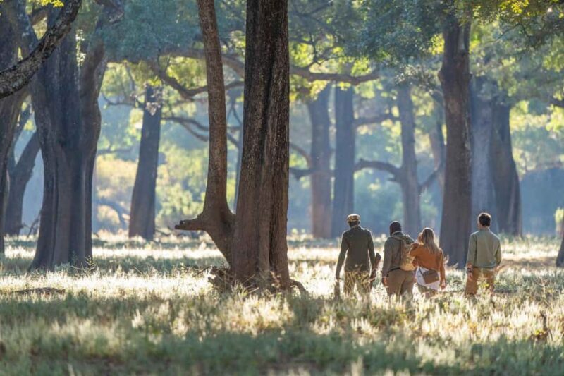 Victoria Falls: Walking Safari - Key Points