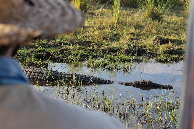 Victoria Falls: Whitewater Rafting + Chobe Safari Combo - Who Will Thrive on This Tour?