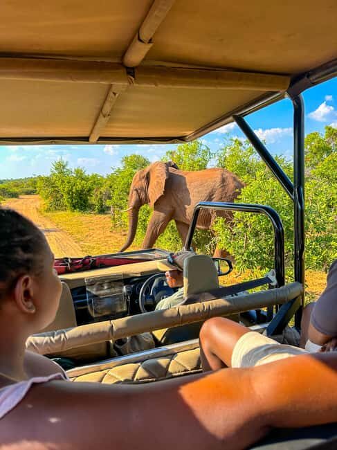 Victoria Falls: Zambezi National Park Game Drive - Logistics, Pricing, and Value