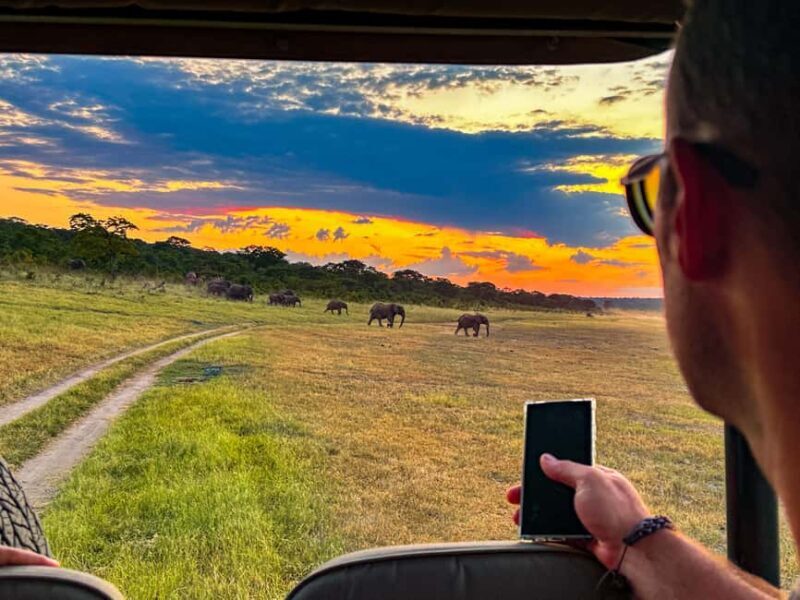 Victoria Falls: Zambezi National Park Game Drive - Who Will Love This Tour?