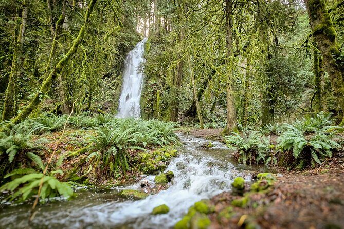 Victoria Ferry connector Waterfall Vista, Rainforest and Aquarium - Frequently Asked Questions