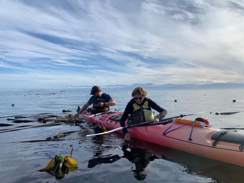 Victoria: Guided Kayak Tour Adventure - What You Can Expect: The Day in the Water